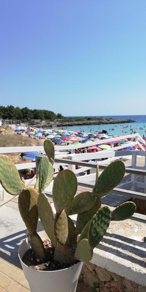 Salenti..Amo Villa Pulsano Eksteriør bilde